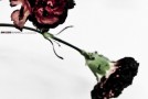 John Legend “The Beginning”