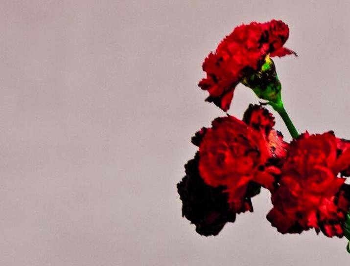 Album Review: John Legend "Love in the Future" (3.5 out of 5 Stars)