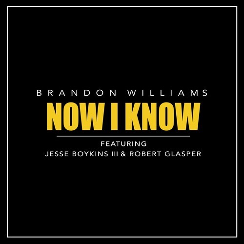 Brandon Williams "Now I Know" featuring Jesse Boykins III & Robert Glasper