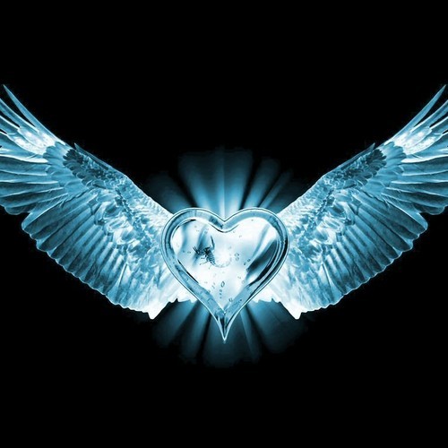 New Artist Spotlight: Maleek "Wings of Love" (Video)