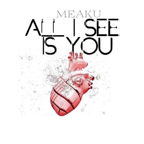 Meaku All I See is You
