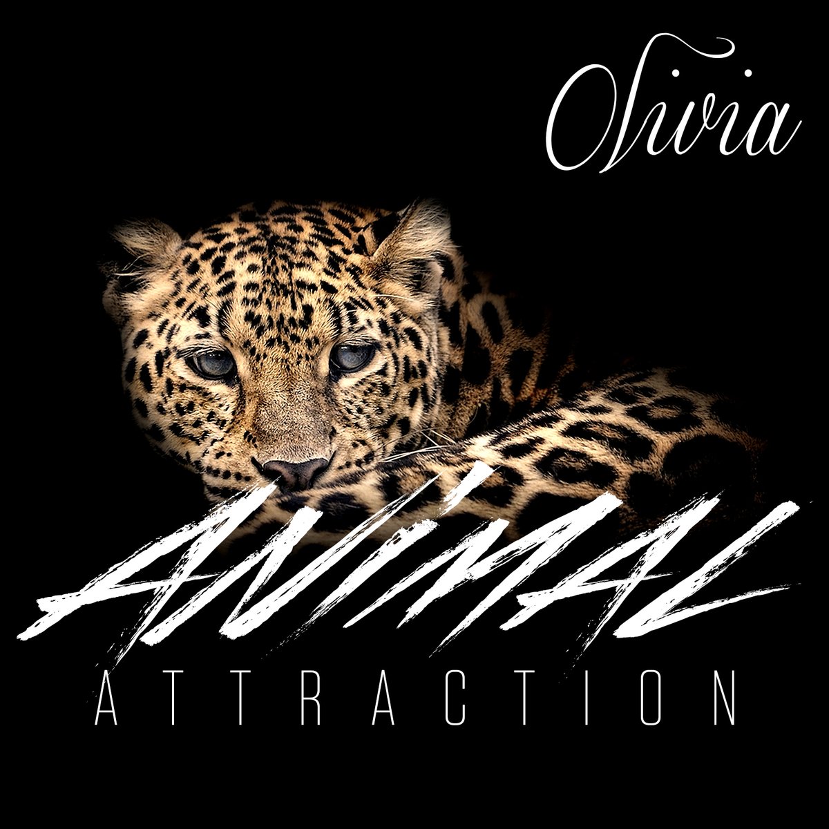 Olivia Animal Attraction