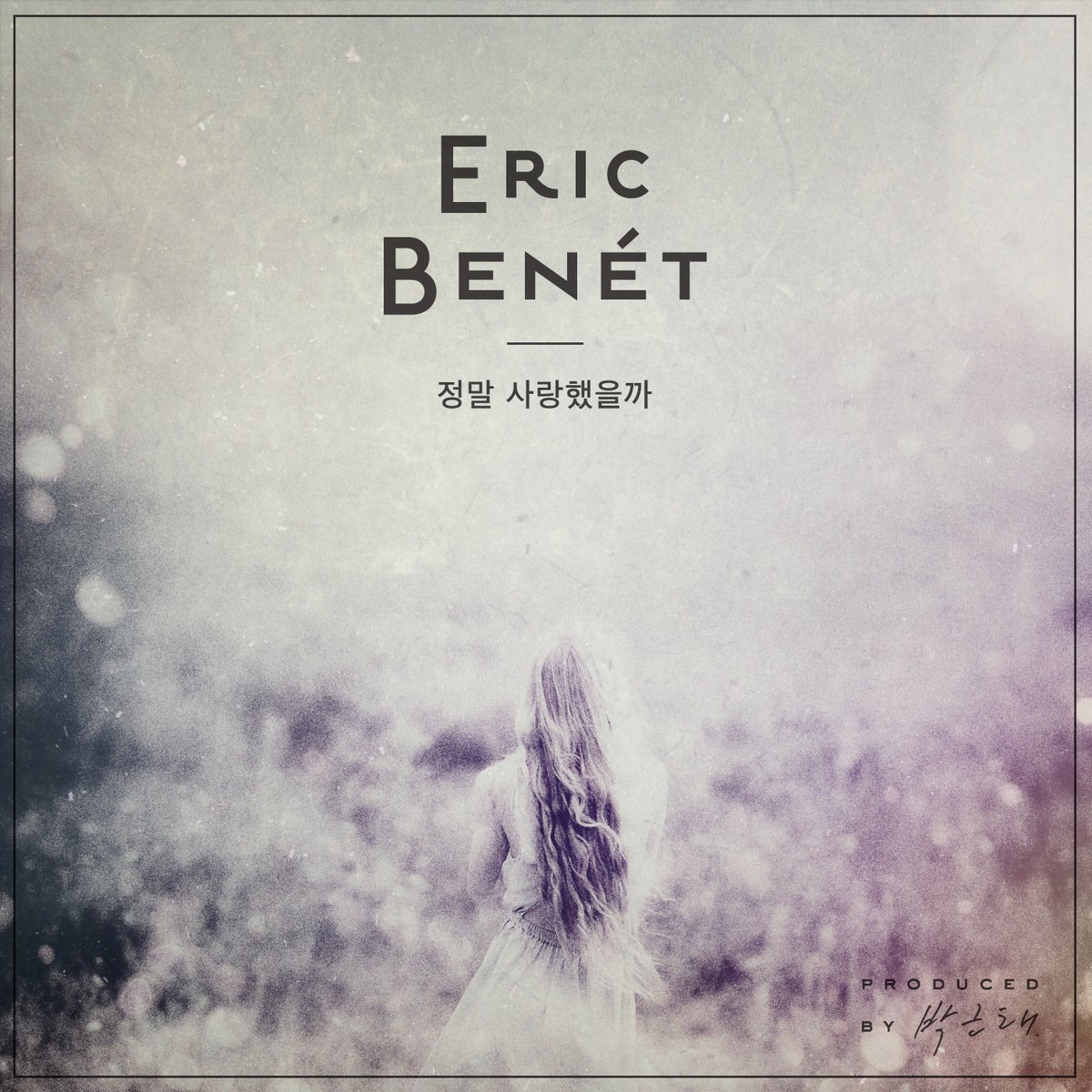 Eric Benet Did We Really Love Cover