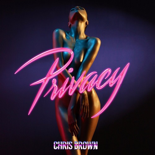 New Music: Chris Brown - Privacy