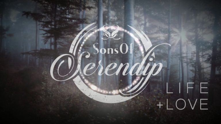 sons of serendip ordinary world