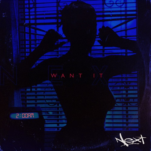 New Video: Next – Want It