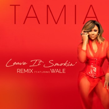 New Music: Tamia - Leave It Smokin (featuring Wale) (Remix)
