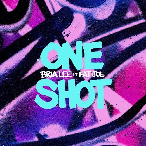 New Video: Bria Lee - One Shot (featuring Fat Joe)