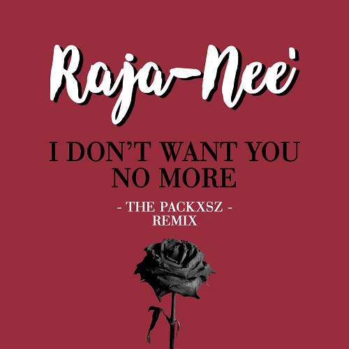 Raja-Nee - I Dont Want You No more (The Packxsz Remix) -cover art-