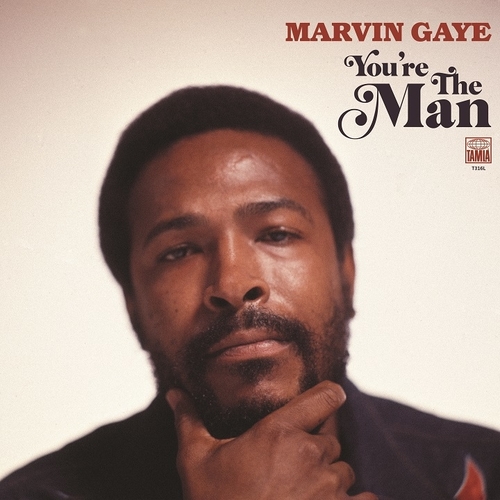 Marvin Gaye You're the Man Album Cover