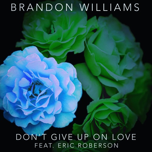 New Music: Brandon Williams - Don't Give Up On Love (featuring Eric Roberson)