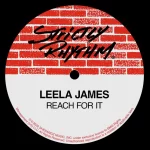 New Music: Leela James - Reach For It (Produced by Mike City & Rex Rideout)