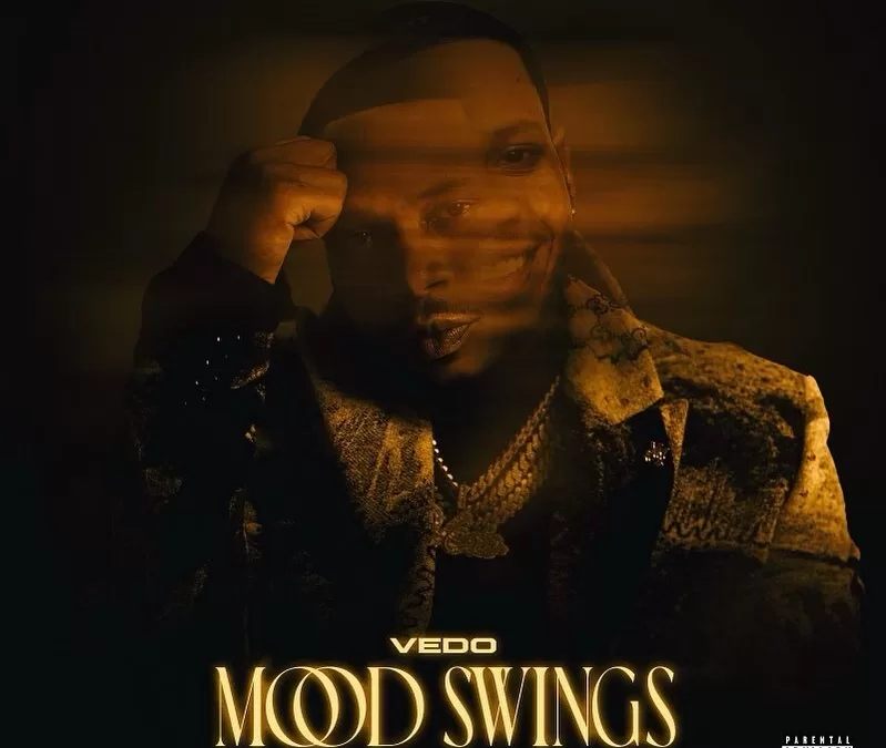 Vedo Mood Swings Album Cover