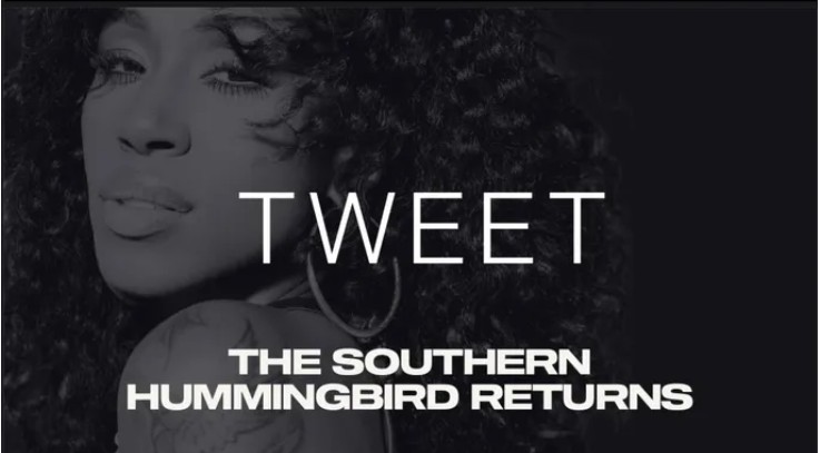 洋楽 Tweet / southern hummingbird Southern Hummingbird | Tweet | Real Gone Music